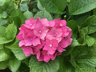 6BA327B2-E5B3-4107-AE21-6BF9E6DF53D3.jpeg