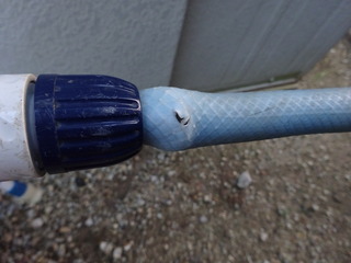 DSC00566.JPG