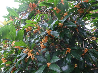 DSC01962.JPG