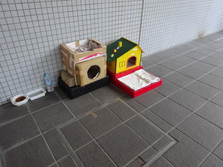 DSC02254.JPG