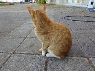 DSC02256.JPG