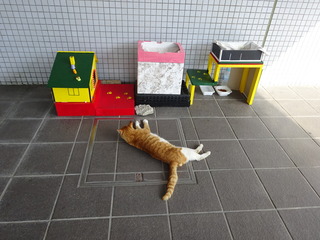 DSC02410.JPG
