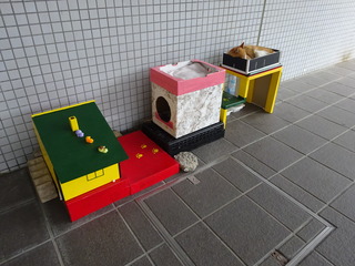 DSC02415.JPG
