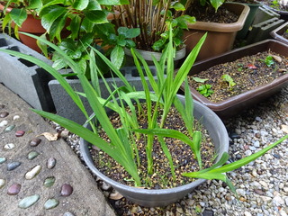 DSC02657.JPG