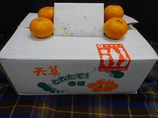 DSC03610.JPG