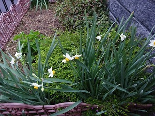 DSC05406.jpg