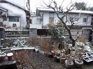 DSC05563.jpg