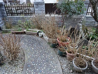 DSC05779.jpg