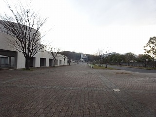 DSC05788.jpg