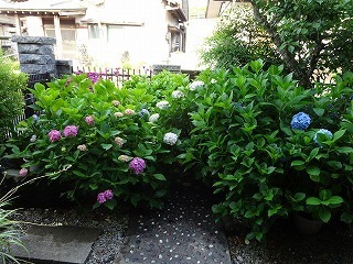 DSC07920.jpg