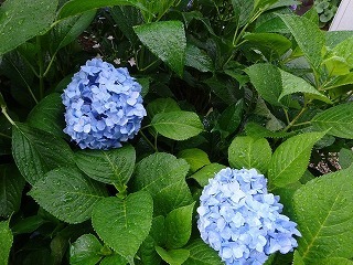 DSC07923.jpg