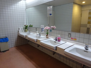 DSC07952.JPG