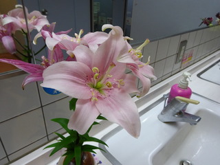 DSC07953.JPG