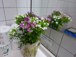 DSC07954.JPG