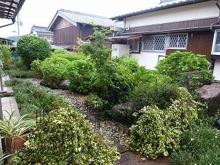 DSC08671.jpg